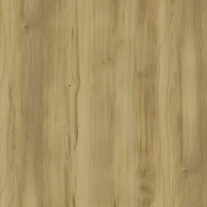 Дуб винченцо