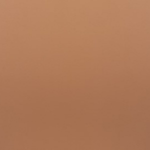 Светло-коричневая кожа