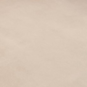 Бежевый велюр