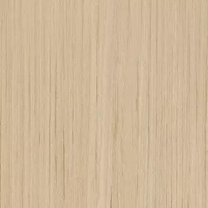 Дуб светлый