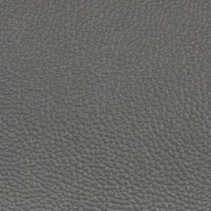 Темно-серая кожа с компаньоном