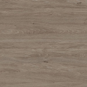 Верцаска дуб