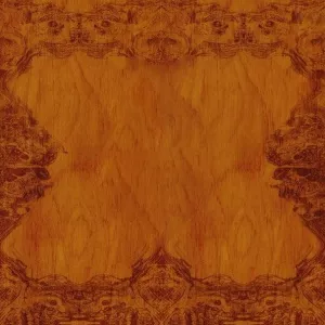 Оливковое дерево