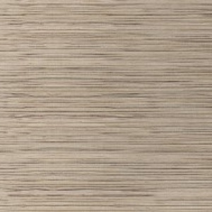 Эбен арктик