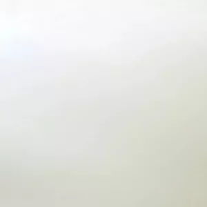 Дуб молочный