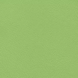 Зелёная экокожа