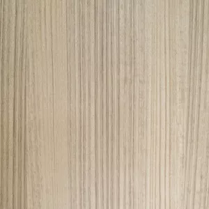 Св.Эвкалипт