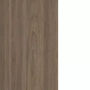 Вяз / белый