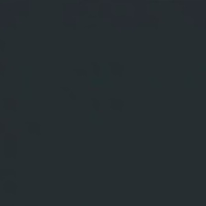 Антрацит кожа с компаньоном