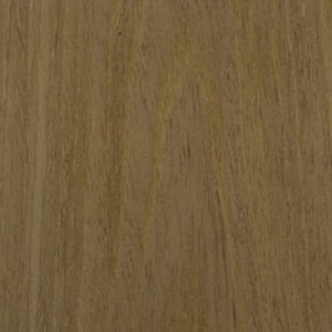 Дуб табачный