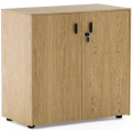 Офисный шкаф низкий