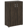 Офисный шкаф средний закрытый