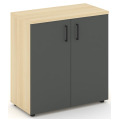 Офисный шкаф низкий широкий (2 низких фасада, задняя стенка ЛДСП)