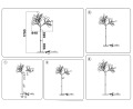 Миниатюра фотографии товара