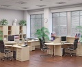 Миниатюра фотографии товара