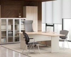 Мебель для кабинета руководителя Gamma 