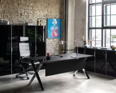 Кабинет руководителя Анкона