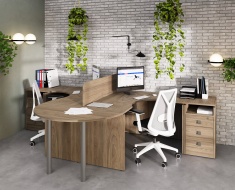 Офисная мебель Style Elm