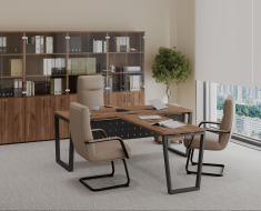 Кабинет Project Dub T