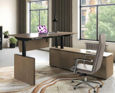 Кабинет руководителя Ион