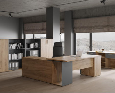 Кабинет Зион New