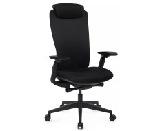 Кресло RV-Gemini