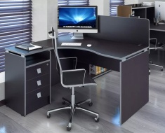 Мебель Style Wenge